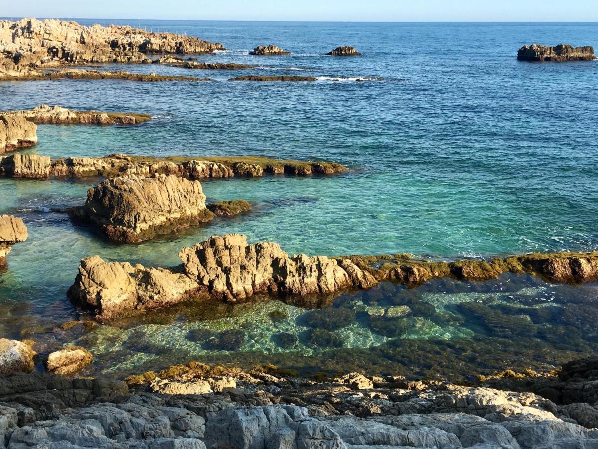 Artistic Antibes Apartment Zewnętrze zdjęcie